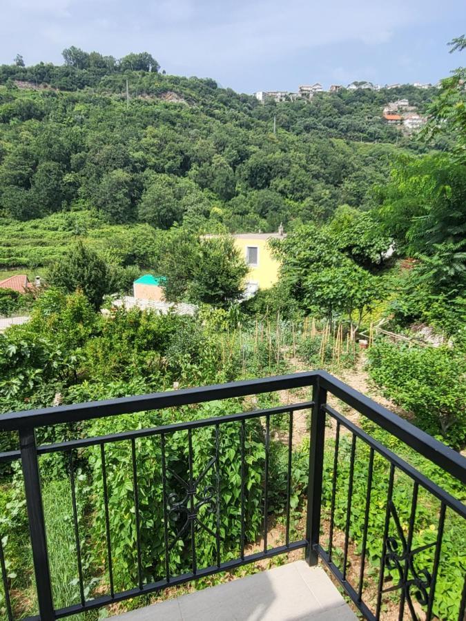 Novi Relax Apartment 赫尔采格诺维 外观 照片